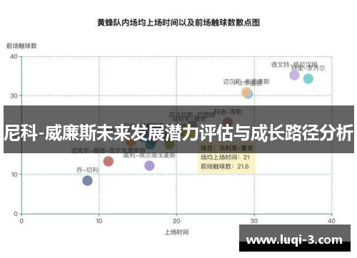 尼科-威廉斯未来发展潜力评估与成长路径分析