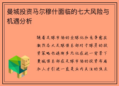 曼城投资马尔穆什面临的七大风险与机遇分析